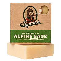 Dr. Squatch All Natural Bar Soap for Men with Zero Grit, Alpine Sage