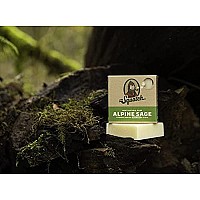 Dr. Squatch All Natural Bar Soap for Men with Zero Grit, Alpine Sage