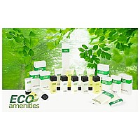 Eco Amenities Travel Size Body Wash - 72 Pack, 1 oz Small Tubes with Flip Cap, Green Tea Scent, Bulk Case of Individually Packaged Hotel Size Toiletries, Mini Body Wash for Guests of Airbnbs, BNBs, VRBO, Inns and Hotels