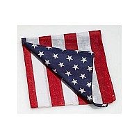 Forum Novelties American Flag Bandana, RedWhiteBlue