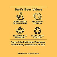 Burt's Bees Lip Balm 2-Pack, Moisturizing SPF 15,