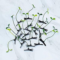 AUEAR, 20 Pack Plant Bean Sprout Hair Clips Pea Hairpin Barrette Headwear Hair Accessories for Women Girls