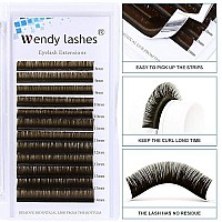 Eyelash Extension 007Mm Brown Volume Lash Extensions Cd Curl 8-14Mm Mixed Easy Fan Rapid Blooming Lashes 3D 4D 6D 10D 20D Lash Extensions By Wendy Lashes(Brown 007-D, 8-14Mm)