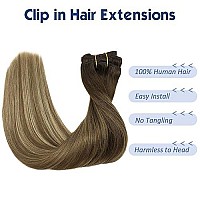 Goo Goo 120G Hair Extensions Human Hair, Walnut Brown To Ash Brown And Bleach Blonde Remy Clip In Human Hair Extensions Natural Hair Straight 7Pcs 22 Inch