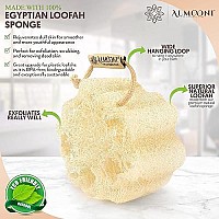 Almooni Mini Natural Loofah Sponge - Real Egyptian Shower Exfoliating Loofah - Small Loofah Scrubber For The Perfect Grip - 3 Count(1 Pack)