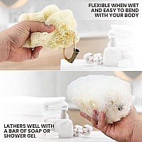 Almooni Mini Natural Loofah Sponge - Real Egyptian Shower Exfoliating Loofah - Small Loofah Scrubber For The Perfect Grip - 3 Count(1 Pack)