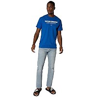 Southern Connecticut State University Official Stacked Unisex Adult T Shirt,Southern Connecticut State University, Large