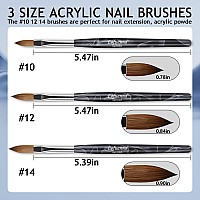 Lofuanna Nail Acrylic Brushes Set 3Pcs Nail Brush For Acrylic Application Size 10 12 14 Professional Nail Art Drawing Brushes For Nail Extension Acrylic Powder Manicure Diy At Home Salon