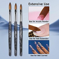 Lofuanna Nail Acrylic Brushes Set 3Pcs Nail Brush For Acrylic Application Size 10 12 14 Professional Nail Art Drawing Brushes For Nail Extension Acrylic Powder Manicure Diy At Home Salon