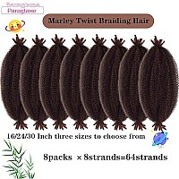 Paraglame Springy Afro Twist Braiding Hair For Soft Locs, Pre-Separated Marley Hair For Faux Locs, Marley Twist Braiding Hair Afro Twist Crochet Hair For Black Women (16Inch, T350)