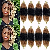 Paraglame Marley Hair 16 Inch Springy Afro Twist Hair 3 Tones Ombre Marley Twist Braiding Hair, Wrapping Hair For Soft Locs Synthetic Crochet Braids Hair Extension For Black Women(1B27613)