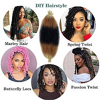 Paraglame Marley Hair 16 Inch Springy Afro Twist Hair 3 Tones Ombre Marley Twist Braiding Hair, Wrapping Hair For Soft Locs Synthetic Crochet Braids Hair Extension For Black Women(1B27613)