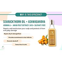 Aaranyaa Seabuckthorn Oil Shampoo (250ml) Anti Hair Fall Shampoo, Cleanser for Controlling Dandruff, Damage & Weak Hair, Paraben & Sulphate-Free