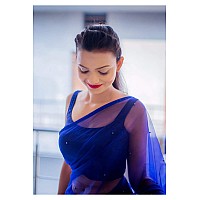 Wardrobe Luxury Womens Plain Weave Net Saree with Blouse Piece WL001 Navy Blue