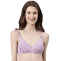 Enamor Womens Cotton Wire Free Casual Tshirt Padded Non Wired Bra A039Lilac Aster36C