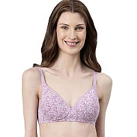 Enamor Womens Cotton Wire Free Casual Tshirt Padded Non Wired Bra A039Lilac Aster34B