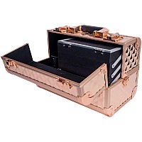 Shany Premier Fantasy Professional Makeup Train Case Cosmetic Box Portable Makeup Case Organizer Jewelry Storage With Locks 3 T