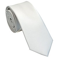 Zenxus Solid Skinny Ties For Men 25 Inch Slim Silver Gray Necktie