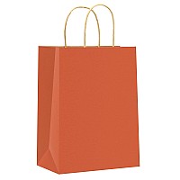 Oletx 24 Pcs Orange Kraft Paper Gift Bags With Handles Bulk 8X 425X 105 Halloween Treat Bags Orange Party Favor Bags Craft Sho