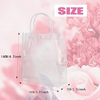 Inn Diary 30Pcs Plastic Clear Gifts Bags With Handle Transparent Pvc Gift Wrap Bag For Favors Christmas Bagsreusable Shopping B