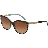 Tiffany & Co. 4097 Tortoise Blue/Brown Gradient Sunglasses