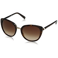 Bvlgari BV8177 Women's Sunglasses Dark Havana 53mm