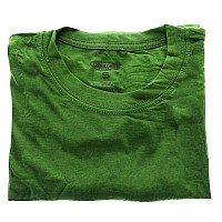 Cariloha Men's Bamboo Crewneck T-Shirt - Small - Palm Green