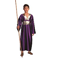 Wiseman Purple Large Child Costume