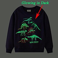 Toddler Boy Dinosaur Halloween Sweatshirts Dino Skeleton Glowing Shirts Long Sleeve Trex Bones Graphic Pullover Tops For Kids 2