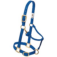 Weaver Leather Nylon Miniature Horse Adjustable Halter Blue Average Mini