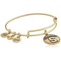 Alex And Ani Syracuse University Logo Expandable Rafaelian Gold Bangle Bracelet