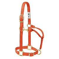 Weaver Leather Original Adjustable Nylon Horse Halter Suckling Orange