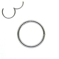 Newkeepsr 2Pcs08Mm20G 316L Surgical Steel Hinged Clicker Segment Seamless Rings Lobe Cartilage Tragus Earring Nose Hoop68