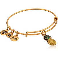 Alex And Ani Womens Color Infusion Pineapple Bangle Bracelet Rafaelian Gold Expandable