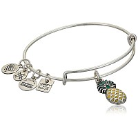 Alex And Ani Replenishment 19 Womens Pineapple Charm Bangle Rafaelian Silver Expandable