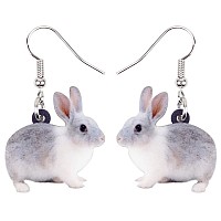 Bonsny Acrylic Drop Dangle Easter Basket Bunny Hare Rabbit Earrings Jewelry For Women Gift Charms