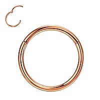 Fansing G23 Titanium Nose Rings 10Mm 18 Gauge Nose Ring For Women 18G Nose Hoop Septum Jewelry Septum Ring Septum Clicker Helix