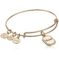 Alex And Ani Because I Love You Friend Expandable Wire Bangle For Women United By Soul Let The Good Times Roll Charm Shiny An