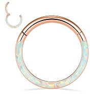 316L Rose Gold Septum Jewelry 16G White Opal Septum Rings Daith Jewelry 16G Conch Piercing Jewelry Higend Segment Nose Hoops Sep