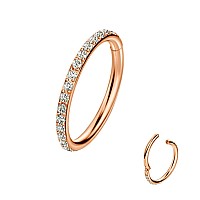 16G 316L Surgical Steel Segment Nose Hoop Ring Cz Segment Helix Ring Earring 8Mm Lip Ring Rook Ring Lobe Ring Nose Piercing Jewe