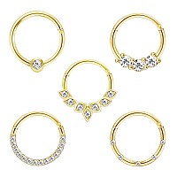 Drperfect Daith Earrings 16G Stainless Steel Cartilage Helix Tragus Nose Hoop Piercing Jewelry 10Mm Gold Plated Cz Hinged Septum