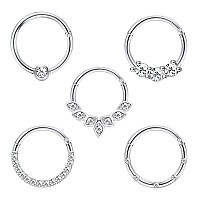 Drperfect Daith Earrings 16G Stainless Steel Cartilage Helix Tragus Nose Hoop Piercing Jewelry 8Mm Silver Cz Hinged Septum Click