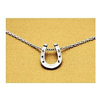 Baydurcan Horseshoe Necklace Horseshoe Pendant Chain Necklace With Message Card Gift Card Horseshoe S