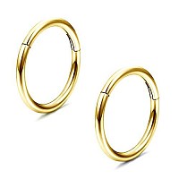 Milacolato 2Pcs G23 Titanium 16G Nose Rings Hoop Lip Rings Hinged Segment Rings For Women Men Helix Daith Tragus Cartilage Earri