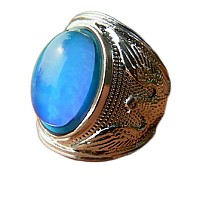 Flyyqmiao Mood Ring Changing Color For Adults Eagle Men Large Ring Antique Stainless Steel Vintage Statement Rings Us Size 11 12