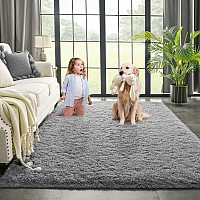 Kimicole Grey Area Rug For Bedroom Living Room Carpet Home Decor Upgraded 3X5 Cute Fluffy Rug For Apartment Dorm Room Essential