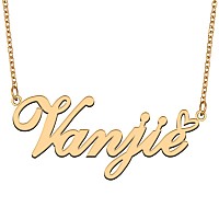 Aoloshow Gold Name Necklace Heart Charm Pendant Vanjie Jewelry For Womens Teen Girls Graduation Gift