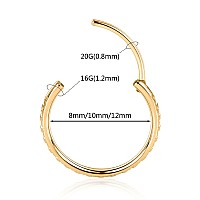 Funlmo Gold Nose Rings Hoop 20 Gauge Nose Ring 20G Earrings Nose Hoop Lip Rings Septum Ring Septum Clicker Helix Earrings Rook E