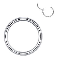 Lovebodyjewelry 2Pcs 18G 12Mm Hinged Hoop Nose Ring Silver Septum Ring Clicker 316L Surgical Steel Nose Hoop 18 Gauge Cartilage