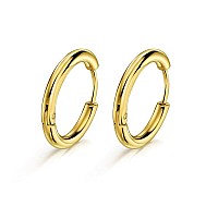 Small Gold Hoop Earrings For Women Gold Earrings For Men Earrings Gold Earrings For Women Small Hoop Earrings Surgical Steel Ear